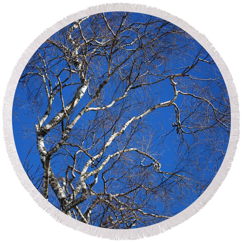 Spring Round Beach Towel featuring the photograph Deep Blue Sky and Birch Tree 1 by Jenny Rainbow