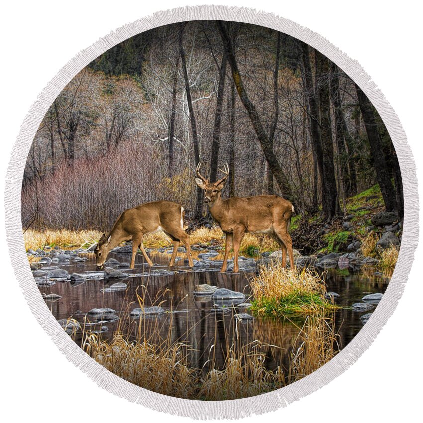 Art Round Beach Towel featuring the photograph Deer Crossing by Randall Nyhof