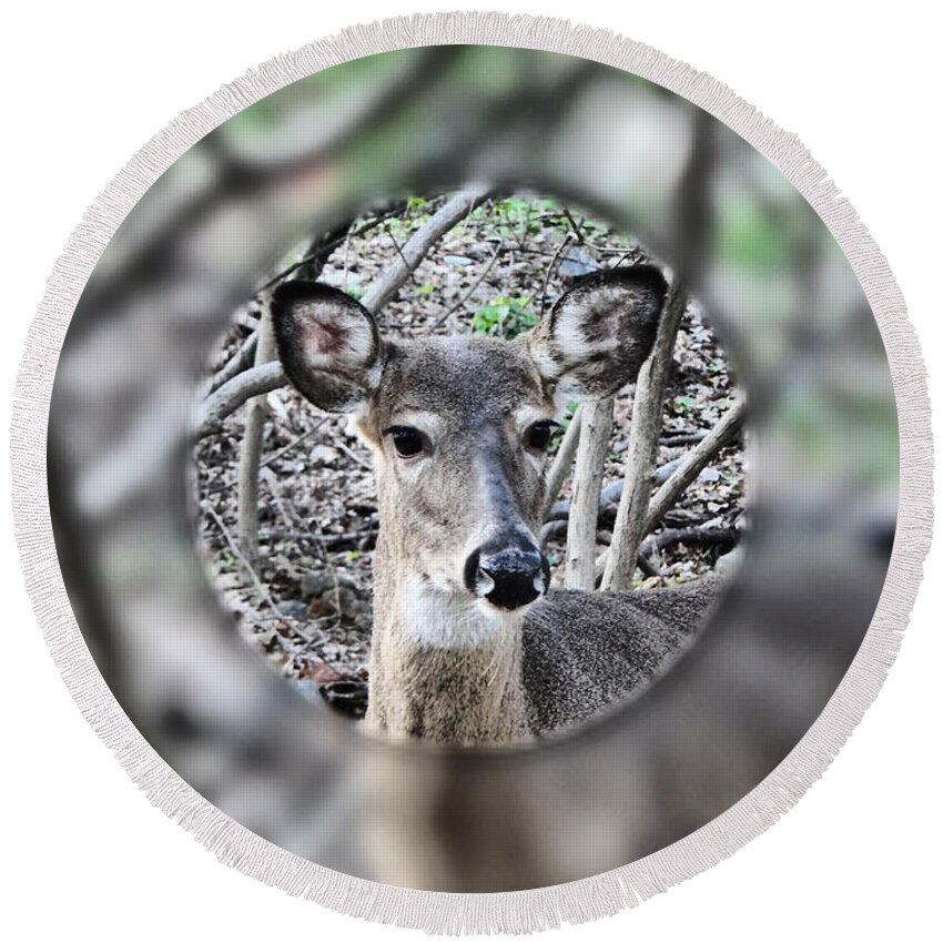 Deer Round Beach Towel featuring the photograph Deer Hunter's View by Russel Considine