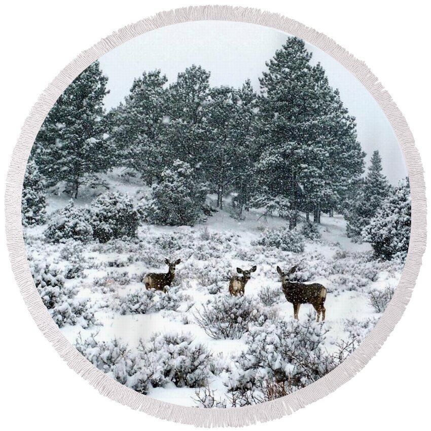 Deer Round Beach Towel featuring the photograph Deer in a Snow Storm by Tranquil Light Photography