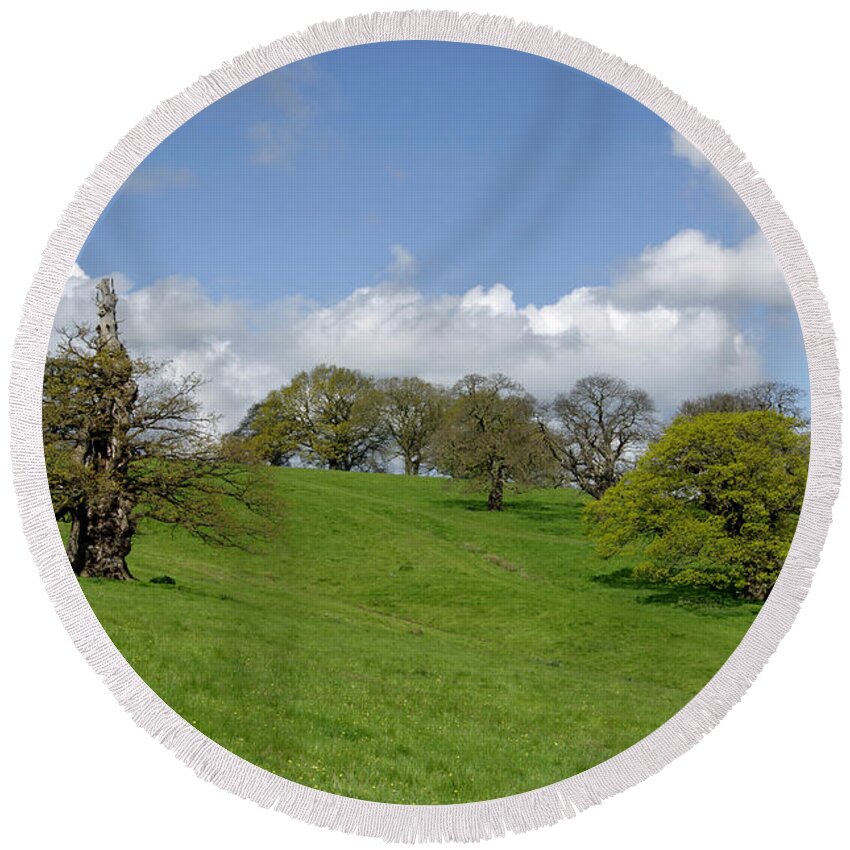Staffordshire Round Beach Towel featuring the photograph Deer Park - Okeover Estate by Rod Johnson