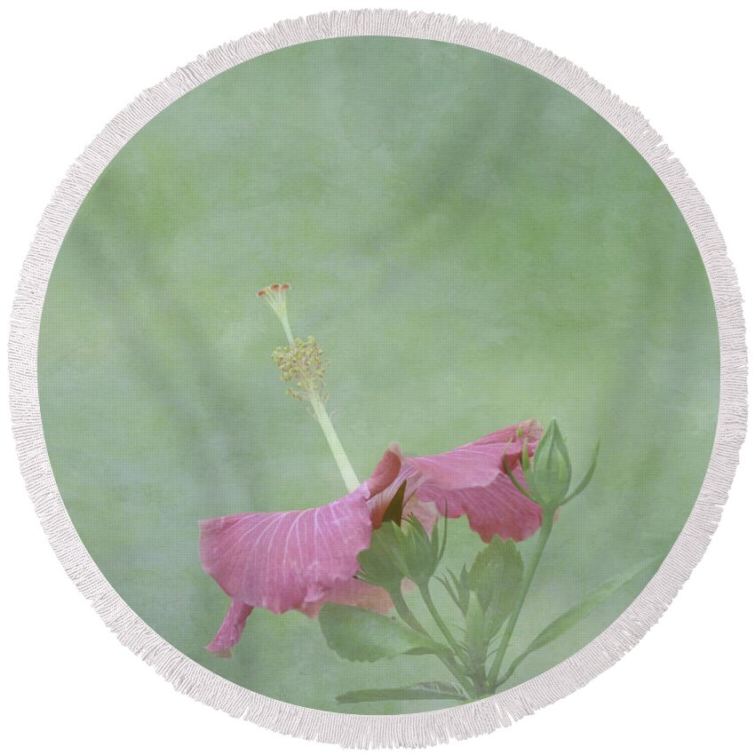 Pink Flower Round Beach Towel featuring the photograph Delicate Pink Hibiscus Flower by Kim Hojnacki