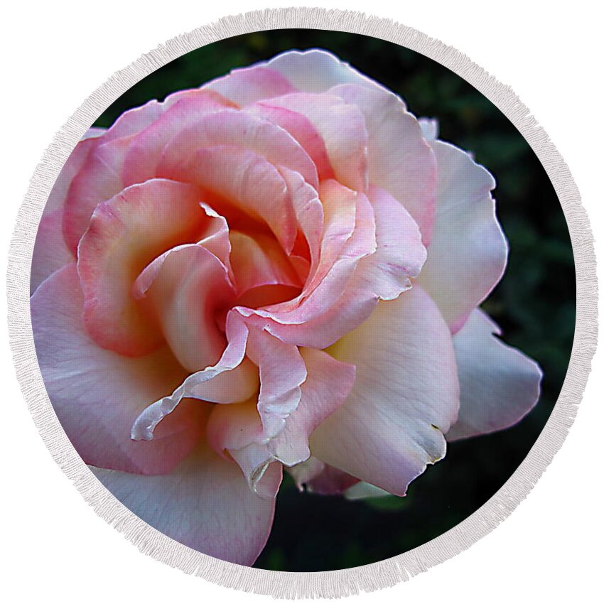 Rose Round Beach Towel featuring the photograph Delicate Pink by Joyce Dickens