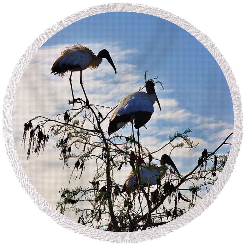 Everglades Round Beach Towel featuring the photograph Delivery by Chuck Hicks