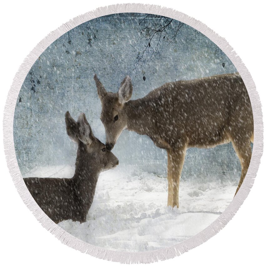 Animal Round Beach Towel featuring the photograph Doe a Deer by Juli Scalzi