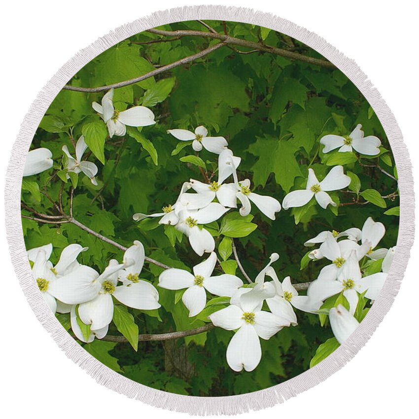 Dogwood Round Beach Towel featuring the photograph Dogwood Blossoms by Randy Pollard