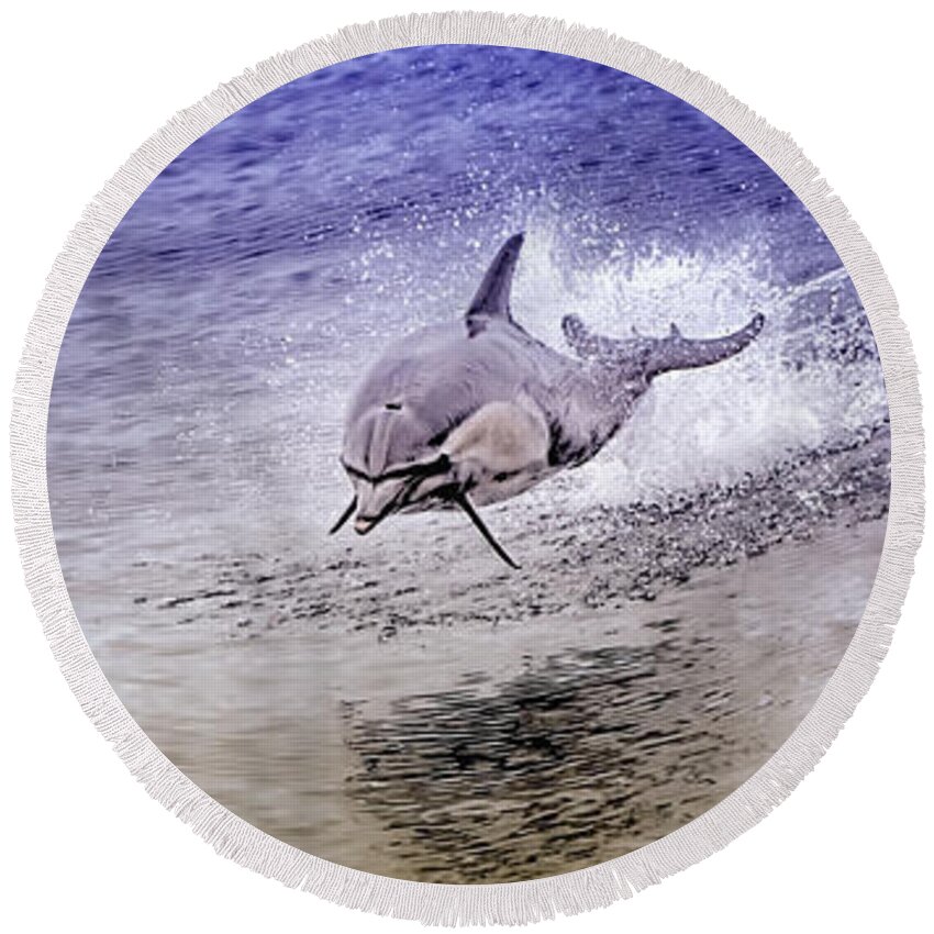 Dolphin Round Beach Towel featuring the photograph Dolphin Jumping by David Millenheft