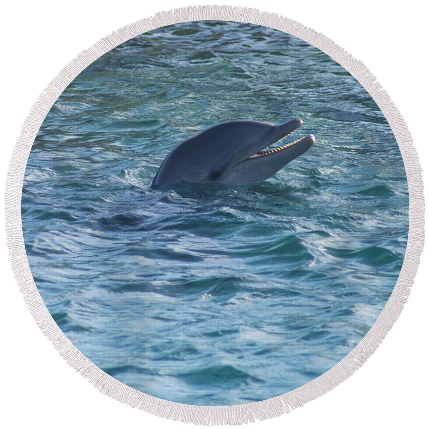 Dolphin Round Beach Towel featuring the photograph Dolphin by Louise Magno