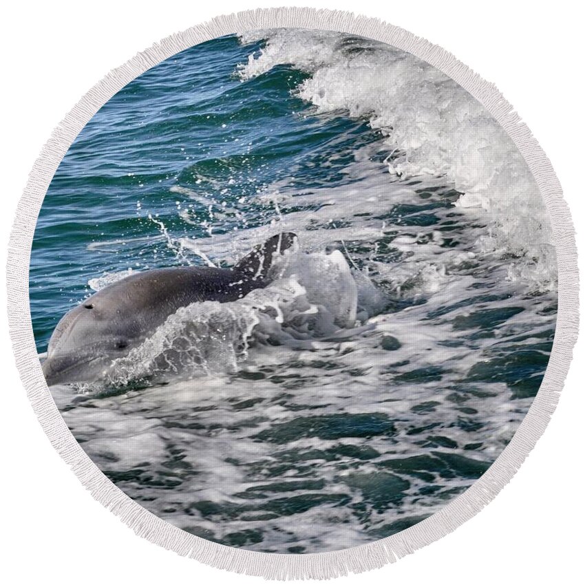 Dolphin Round Beach Towel featuring the photograph Dolphins Smile by Kristina Deane