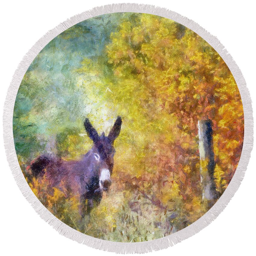 Donkey Round Beach Towel featuring the photograph Donkey At The Fence by Kerri Farley