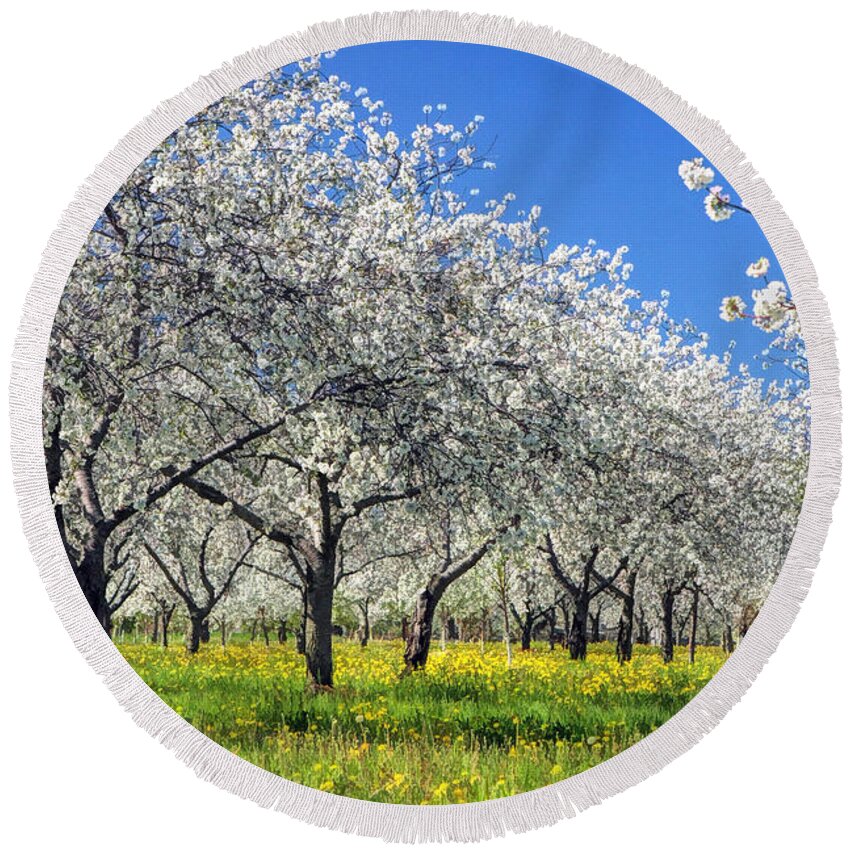 Door County Round Beach Towel featuring the painting Door County Cherry Blossoms by Christopher Arndt