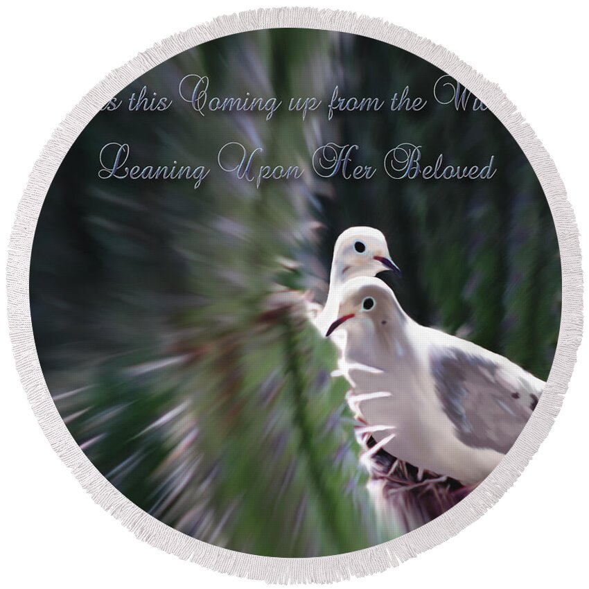 Birds Round Beach Towel featuring the photograph Love Doves by Constance Woods
