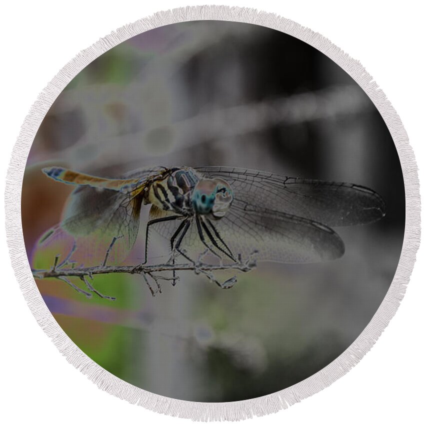 Insect Round Beach Towel featuring the photograph Dragonfly by Donna Brown
