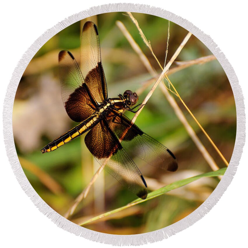 Dragonfly Round Beach Towel featuring the photograph Dragonfly by John Johnson