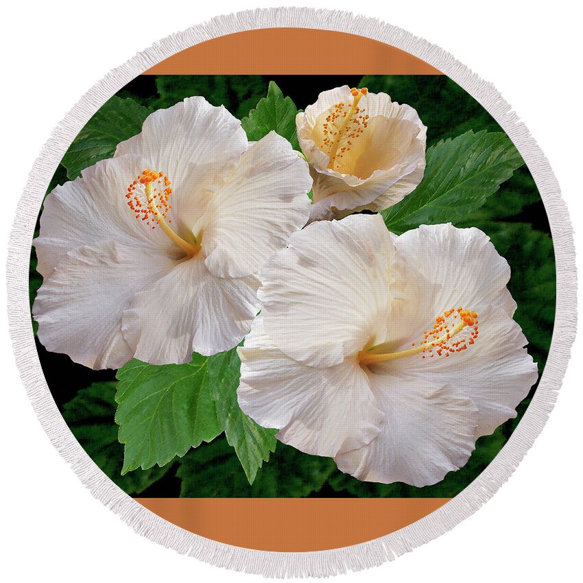 Tropical Flower Round Beach Towel featuring the photograph Dreamy Blooms - White Hibiscus by Ben and Raisa Gertsberg