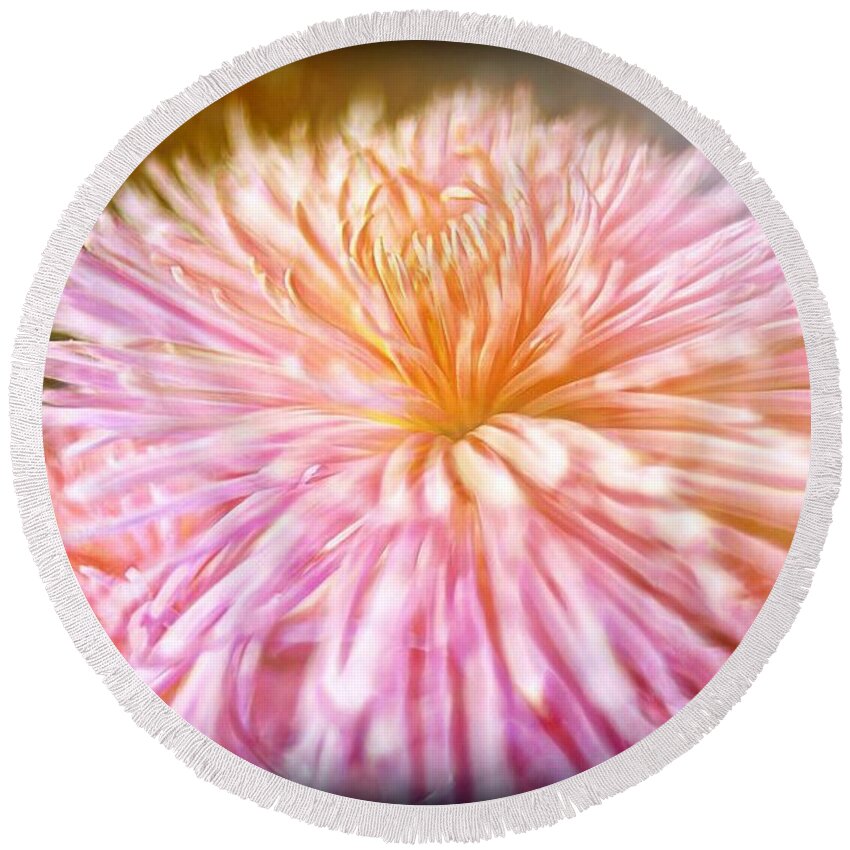 Pink Round Beach Towel featuring the digital art Dreamy Pink Chrysanthemum by Lilia D