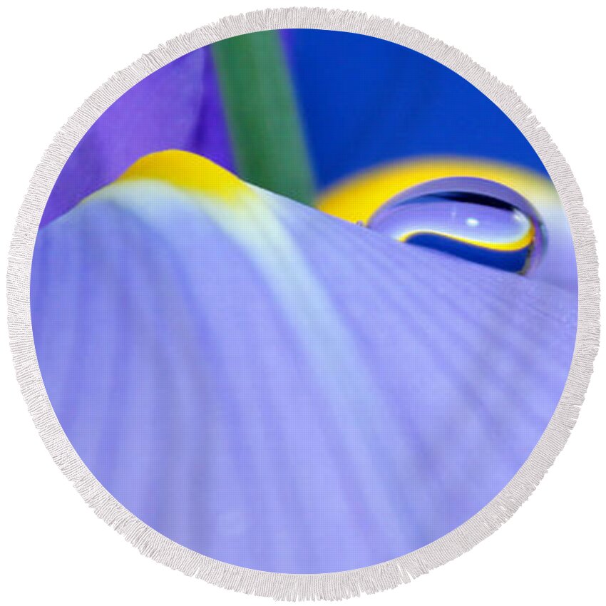 Iris Round Beach Towel featuring the photograph Drop Of Spring by Krissy Katsimbras