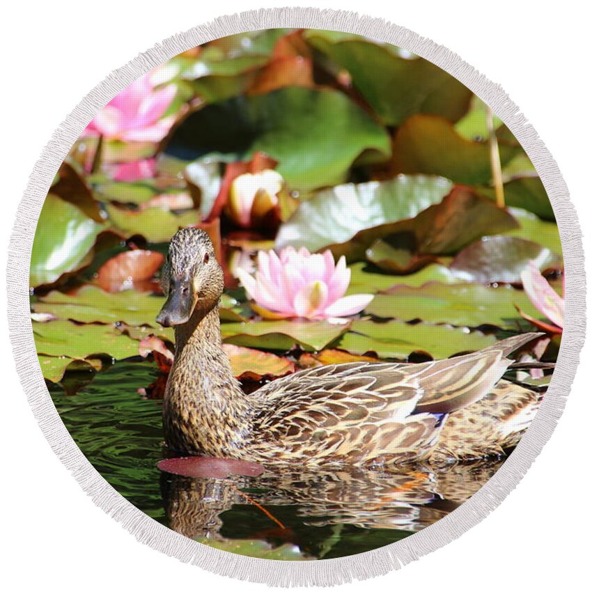 Lilies Round Beach Towel featuring the photograph Duck in the Water Lilies by Amanda Mohler