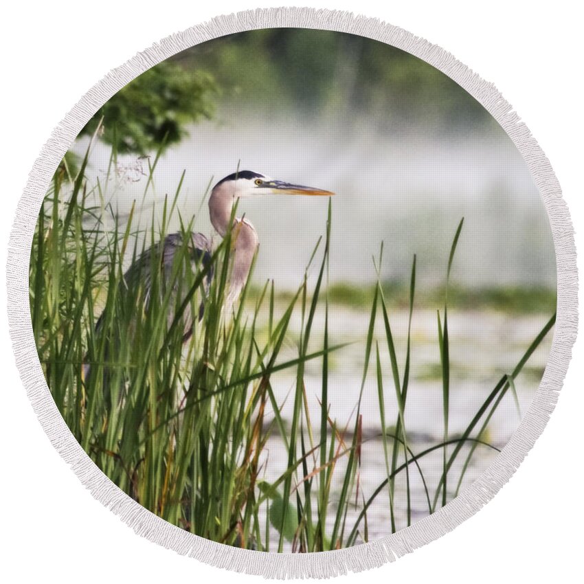 Great Blue Heron Round Beach Towel featuring the photograph Early Morning Heron by Jan Killian