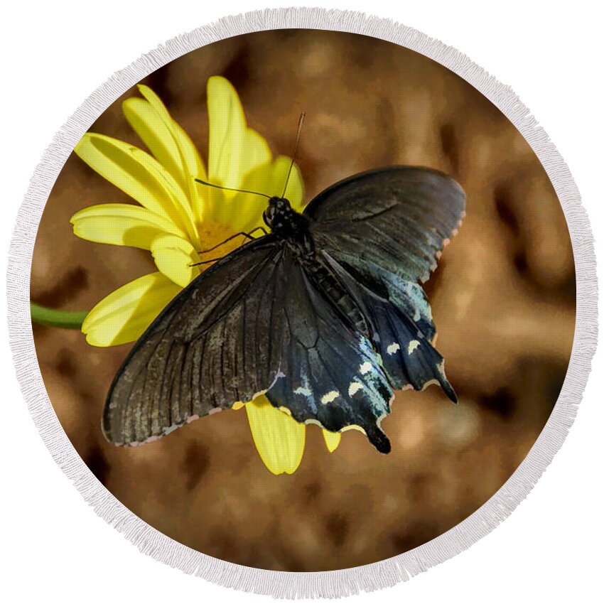 Eastern Swallowtail Round Beach Towel featuring the photograph Eastern Tiger Swallowtail- Black Form by Penny Lisowski
