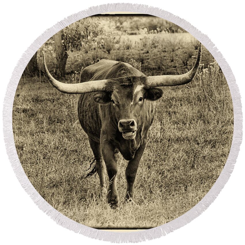Longhorn Cattle Round Beach Towel featuring the photograph Eat Leaf Not Beef Sepia by Priscilla Burgers