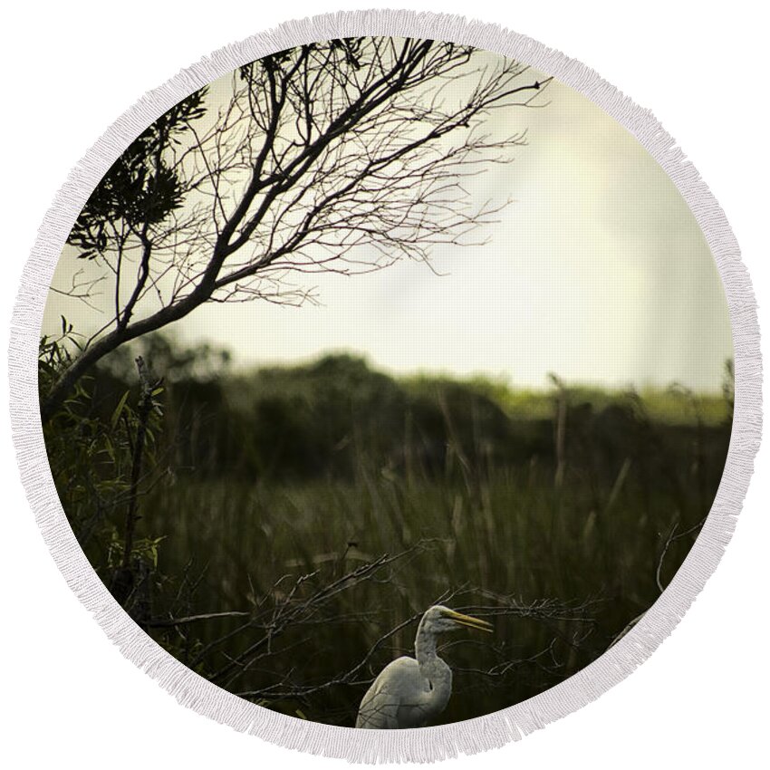 Egret Round Beach Towel featuring the photograph Egret At Sunset by Bradley R Youngberg