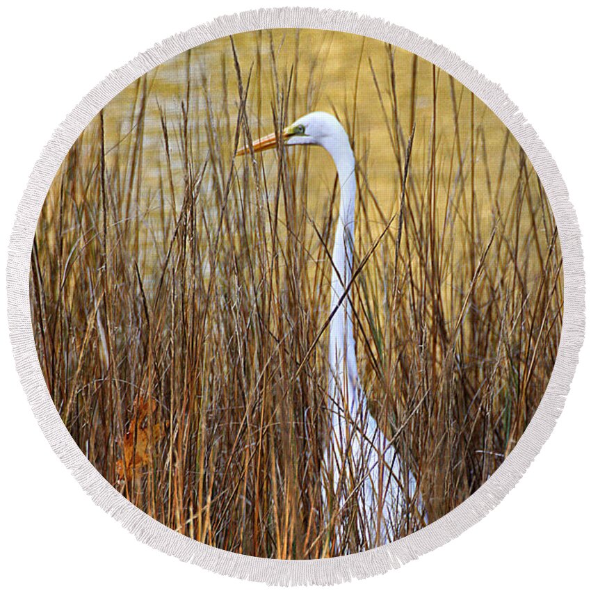 Wildlife Round Beach Towel featuring the photograph Egret in the Grass by William Selander