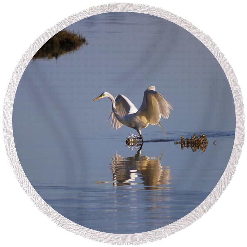 Designs Similar to Egret Reflections