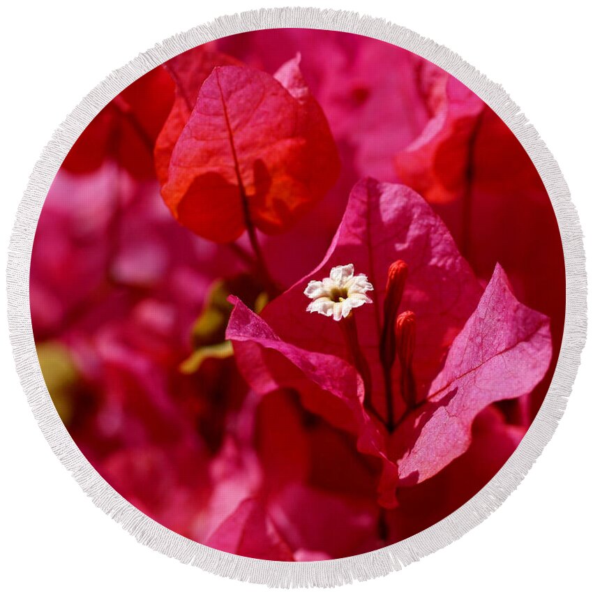 Bougainvillea Round Beach Towel featuring the photograph Electric Pink Bougainvillea by Rona Black