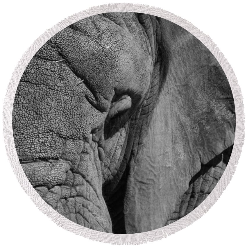 Elephant Round Beach Towel featuring the photograph Elephant BW by Ernest Echols