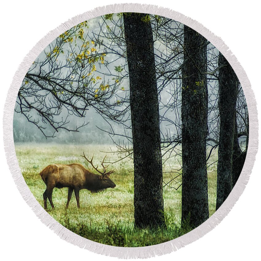 Elk Round Beach Towel featuring the photograph Emerging from the Fog by Priscilla Burgers