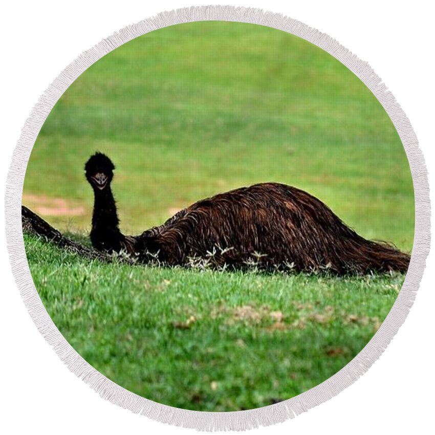 Emu Round Beach Towel featuring the photograph Emu at Rest by Tara Potts