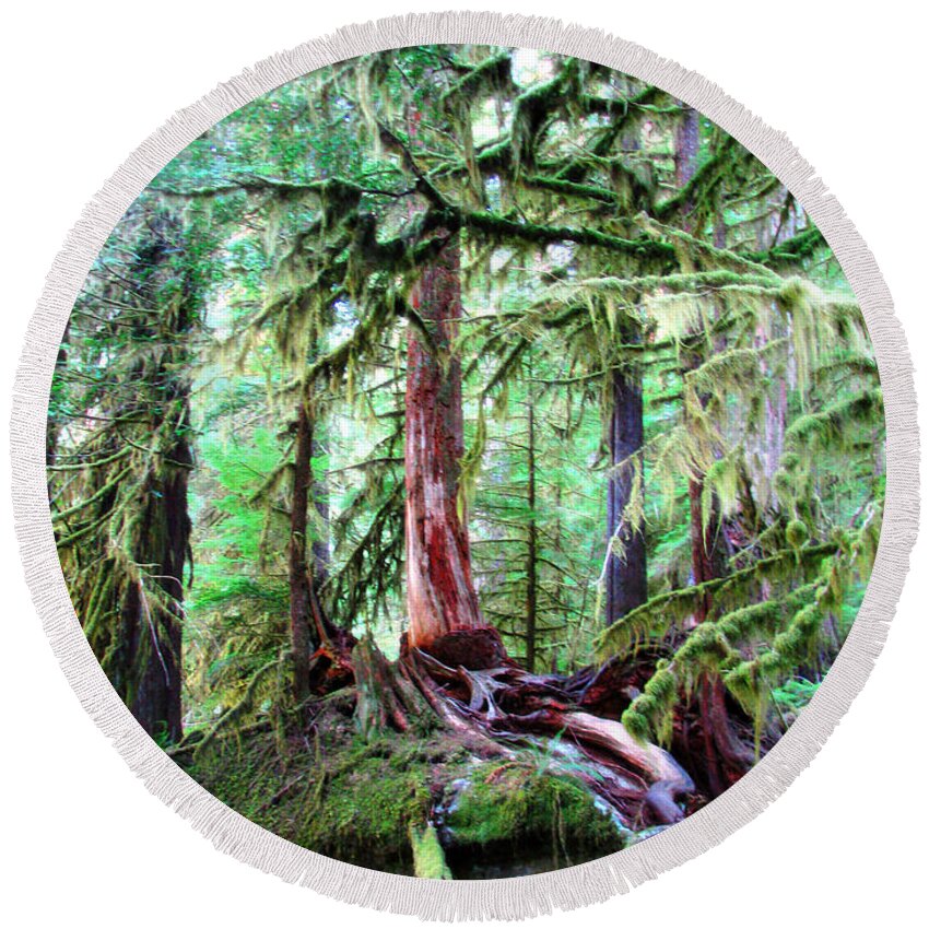 Forest Round Beach Towel featuring the photograph Enchanted Forest 2 by Rory Siegel