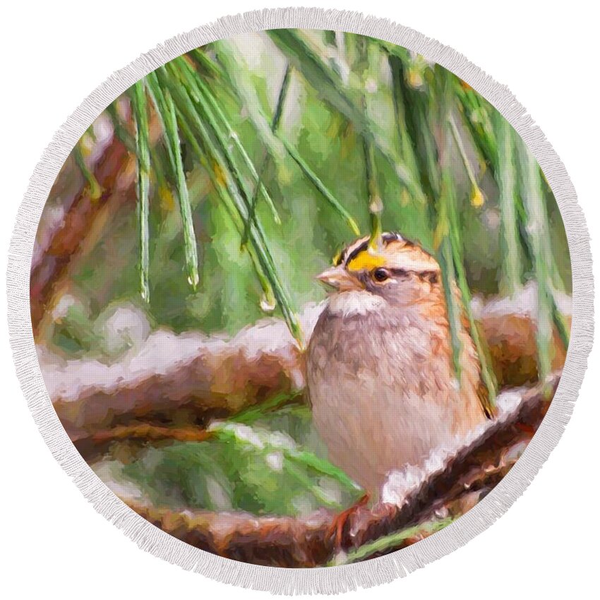 White-throated Sparrow Round Beach Towel featuring the photograph Enchanted by Kerri Farley