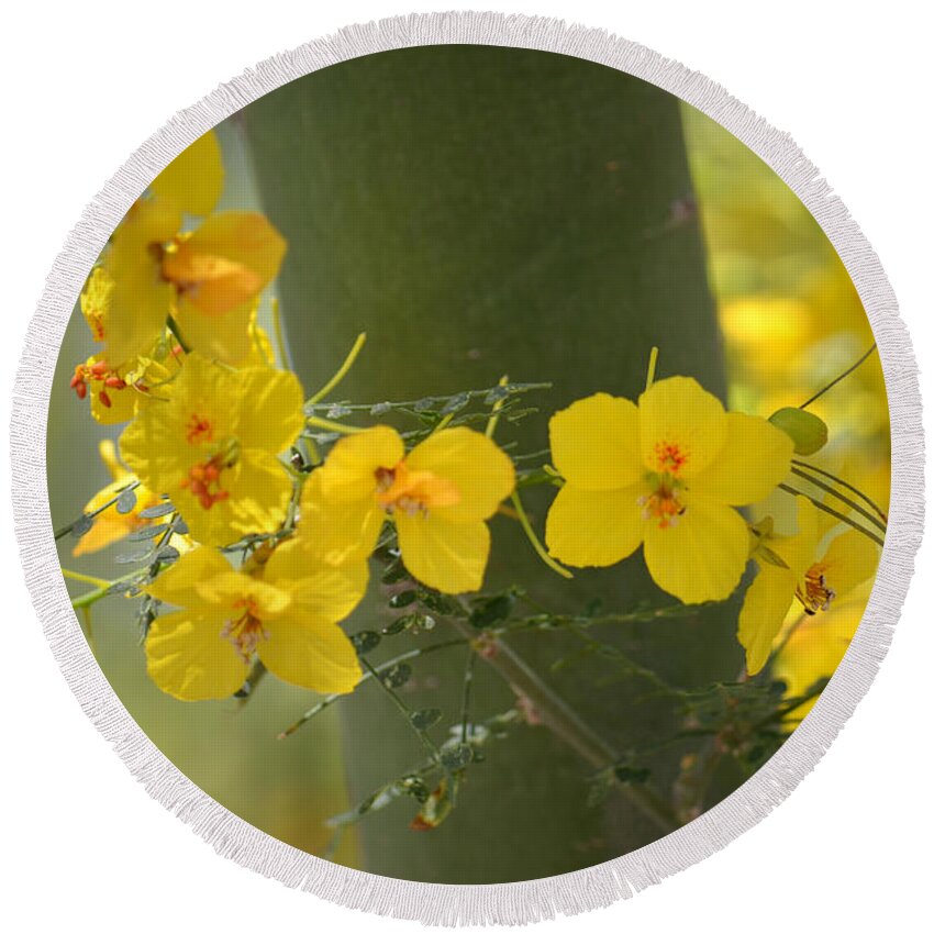 Yellow Flowers Round Beach Towel featuring the photograph Enchantment by Deb Halloran