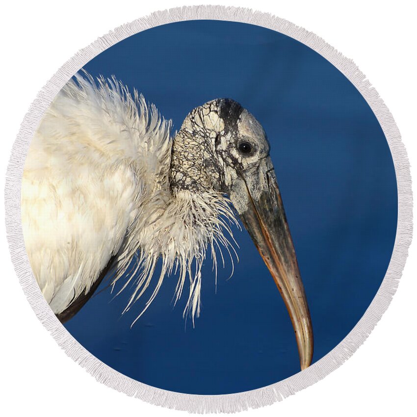 Woodstork Round Beach Towel featuring the photograph Endangered Woodstork Reflection by Kathy Baccari