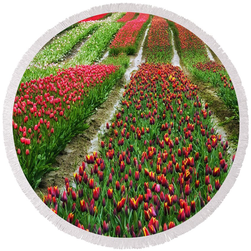 Monet Round Beach Towel featuring the photograph Endless waves of tulips by Eti Reid