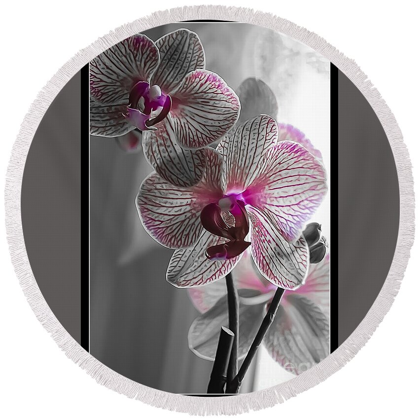 Spring Round Beach Towel featuring the photograph Ethereal Orchid by Bianca Nadeau