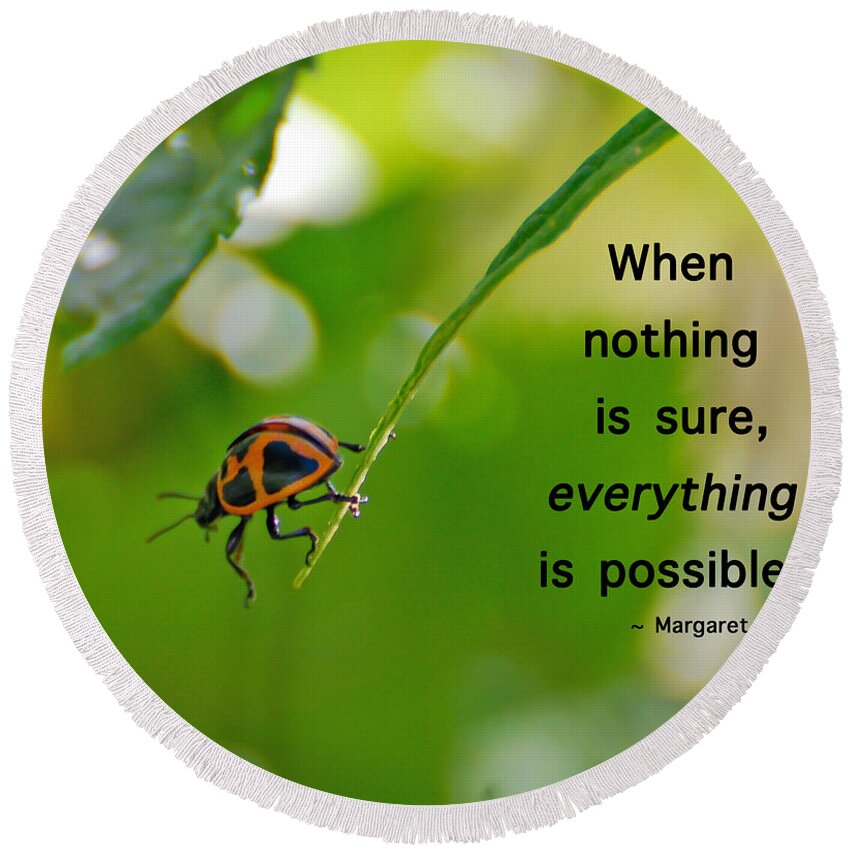 Ladybug Round Beach Towel featuring the photograph Everything Is Possible by Kerri Farley