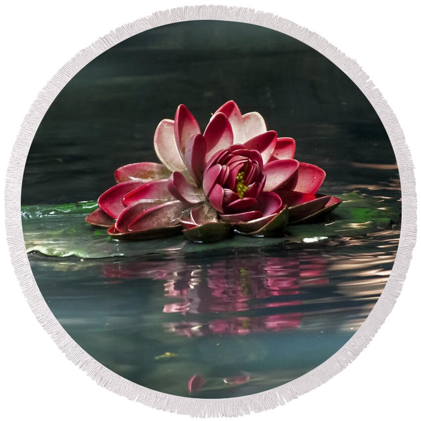 Water Round Beach Towel featuring the photograph Exquisite Water Flower by Lucinda Walter