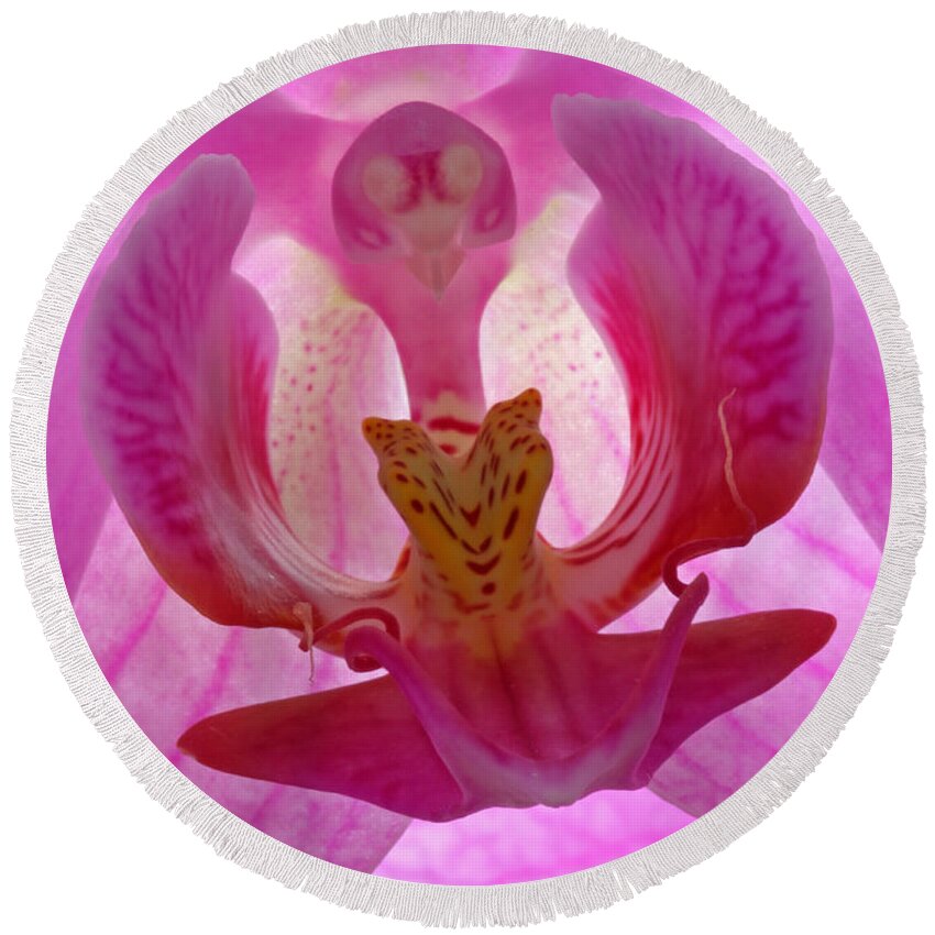 Orchid Round Beach Towel featuring the photograph Extremely Loud And Incredibly Close by Juergen Roth