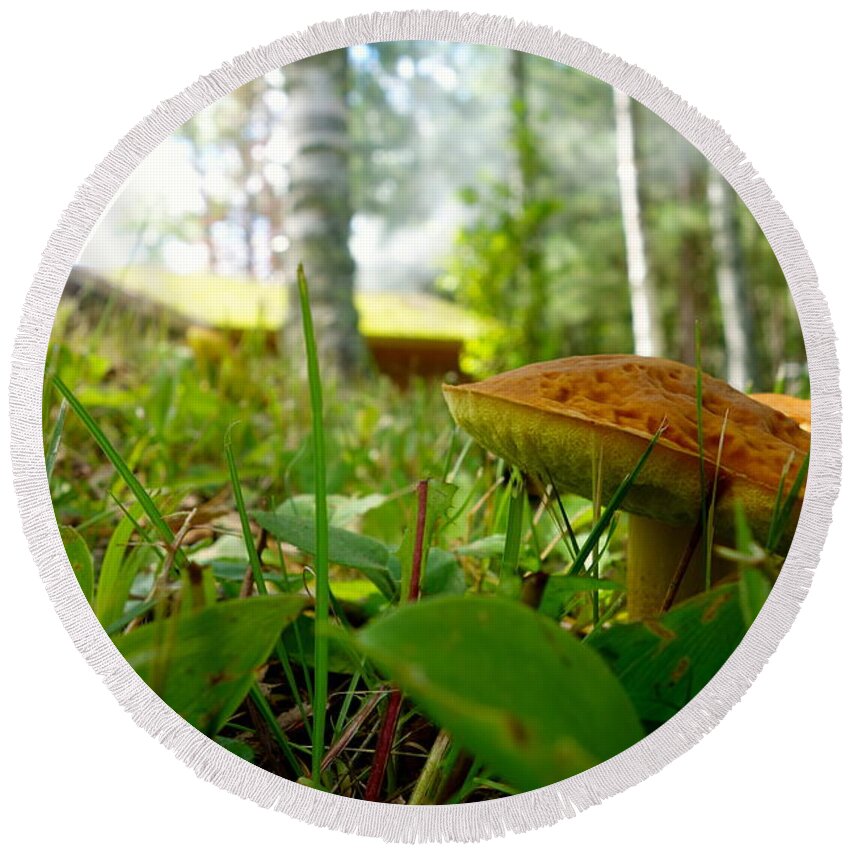 Fungi Round Beach Towel featuring the photograph Fairy Home by Jacqueline Athmann