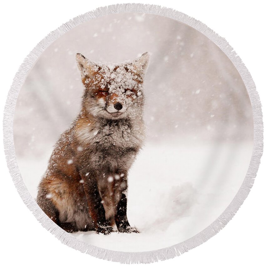 Fox Round Beach Towel featuring the photograph Fairytale Fox _ Red Fox in a Snow Storm by Roeselien Raimond