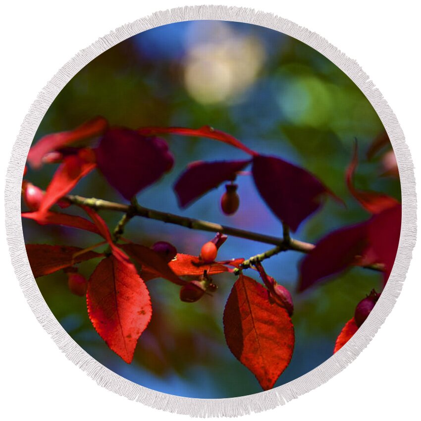 Autumn Round Beach Towel featuring the photograph Fall Bokeh by Kathi Isserman