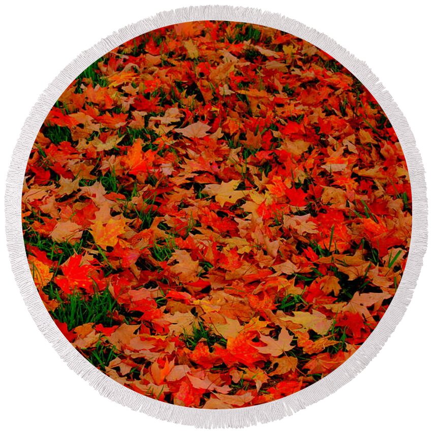 Fall Fell Round Beach Towel featuring the photograph Fall Fell by Eunice Miller