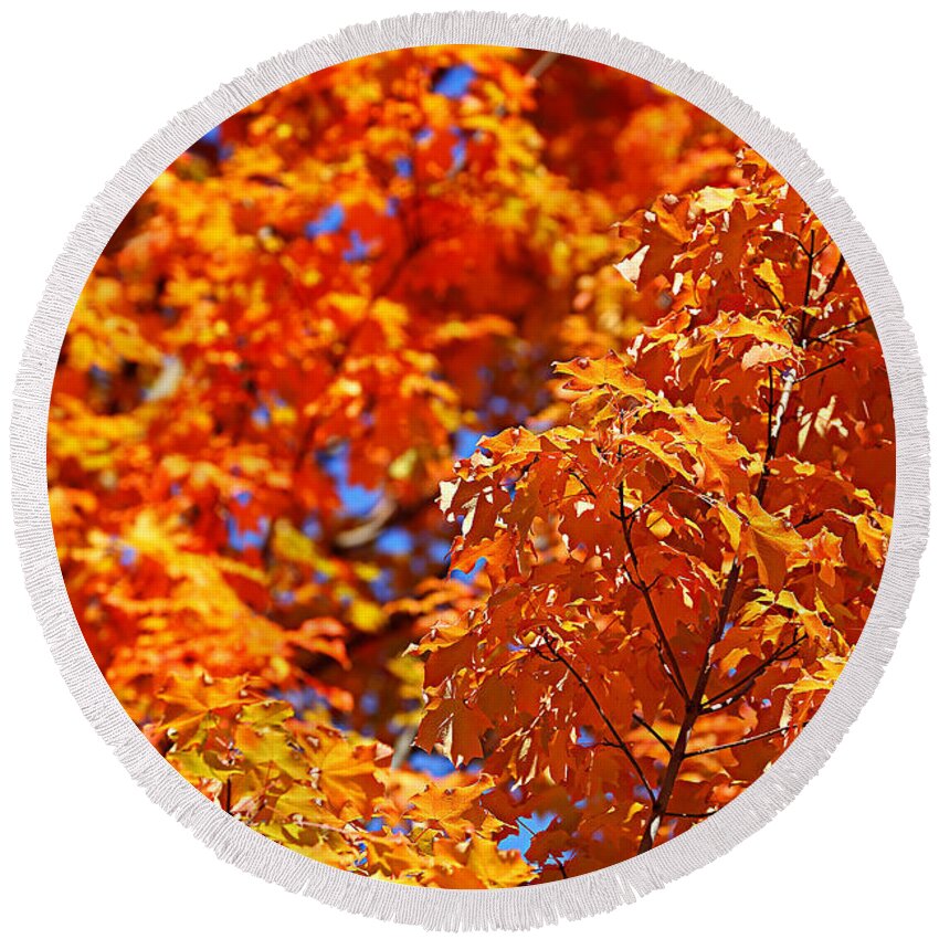 Autumn Round Beach Towel featuring the photograph Fall Foliage Colors 17 by Metro DC Photography