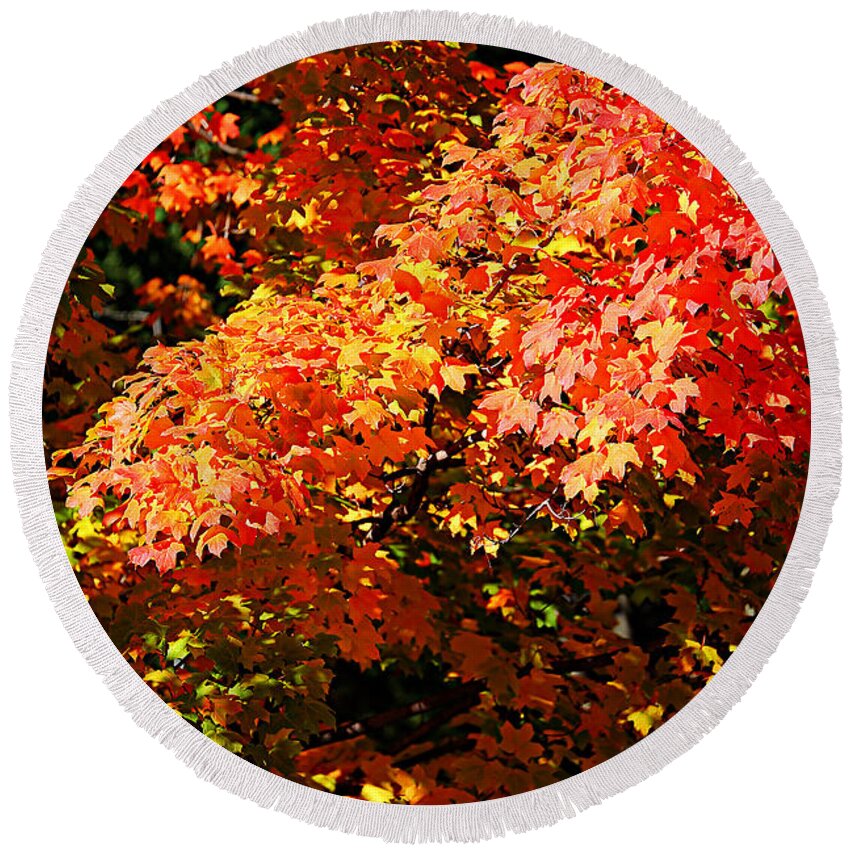 Autumn Round Beach Towel featuring the photograph Fall Foliage Colors 21 by Metro DC Photography