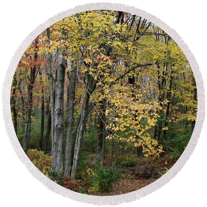 Fall Foliage Round Beach Towel featuring the photograph Fall foliage by Jim Gillen