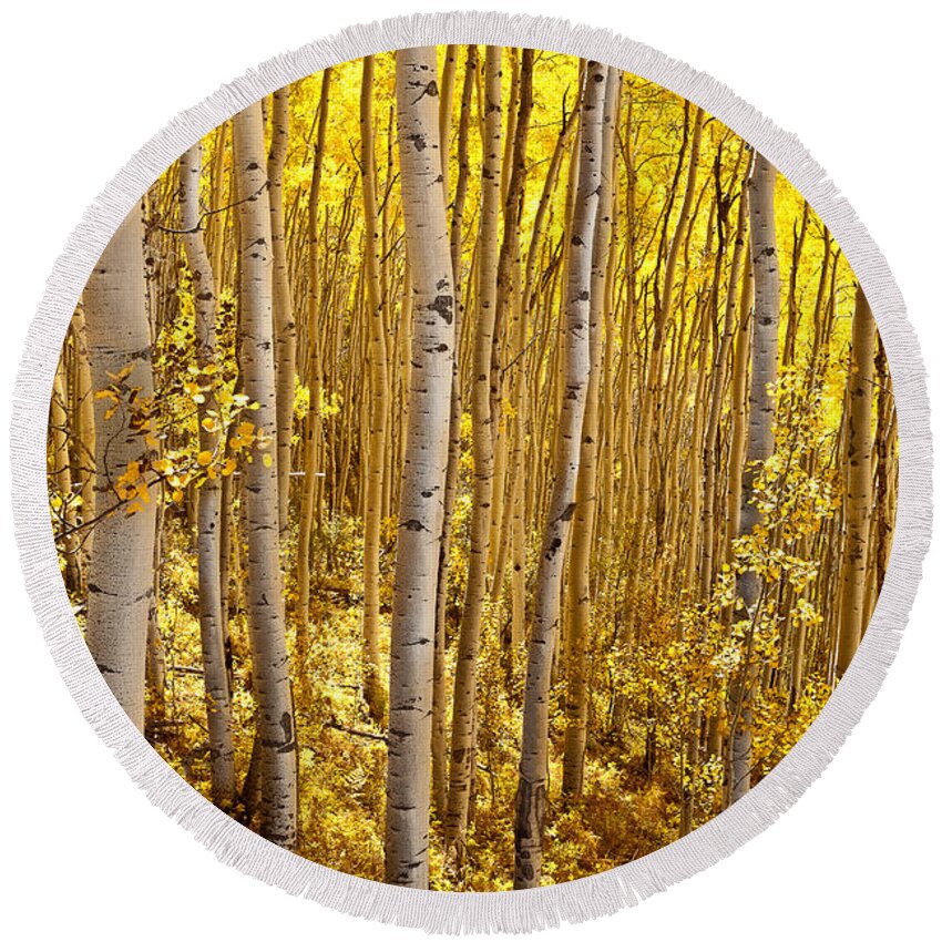 Landscape Round Beach Towel featuring the photograph Fall's Golden Light by Steven Reed
