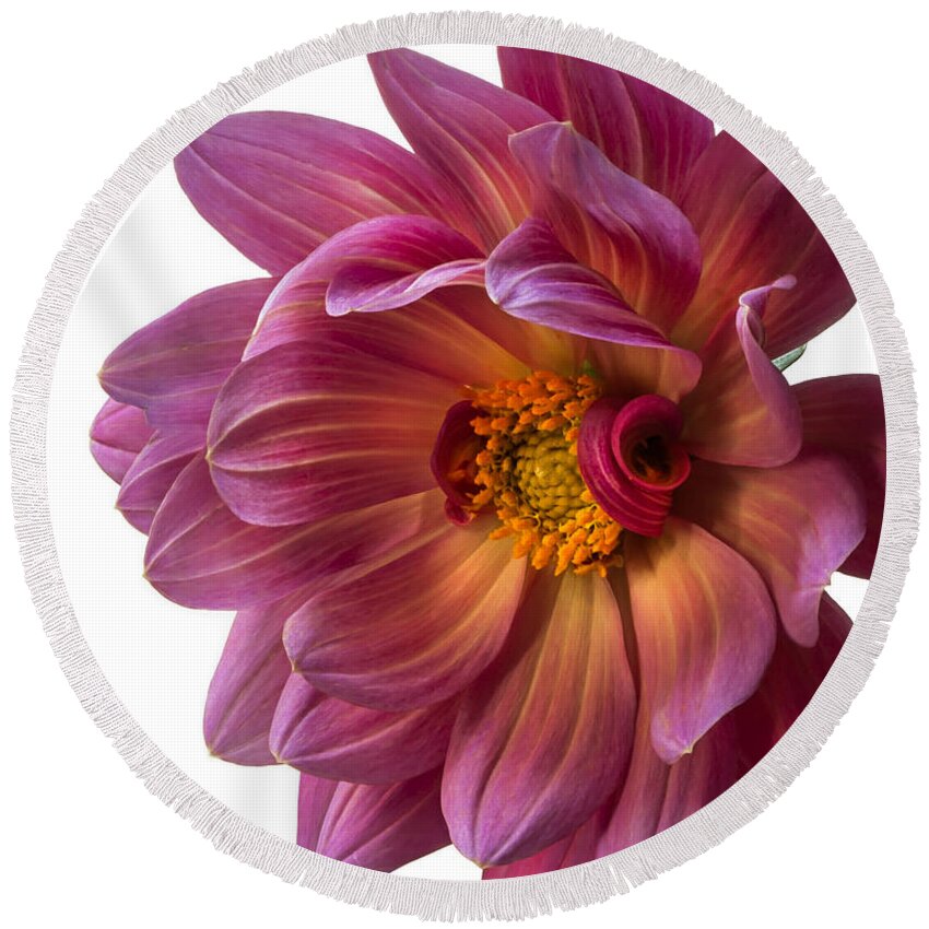 Flower Round Beach Towel featuring the photograph Fancy Dahlia Closeup by Endre Balogh